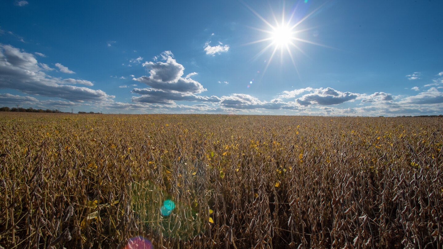 <br />
<b>Warning</b>:  Undefined variable $myimgalt in <b>/www/wwwroot/amtomessage.com/wp-content/themes/ennews001/single.php</b> on line <b>213</b><br />
