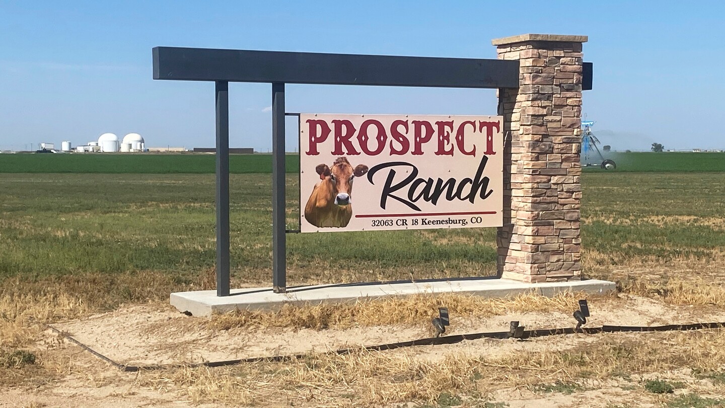 <br />
<b>Warning</b>:  Undefined variable $myimgalt in <b>/www/wwwroot/amtomessage.com/wp-content/themes/ennews001/single.php</b> on line <b>213</b><br />
