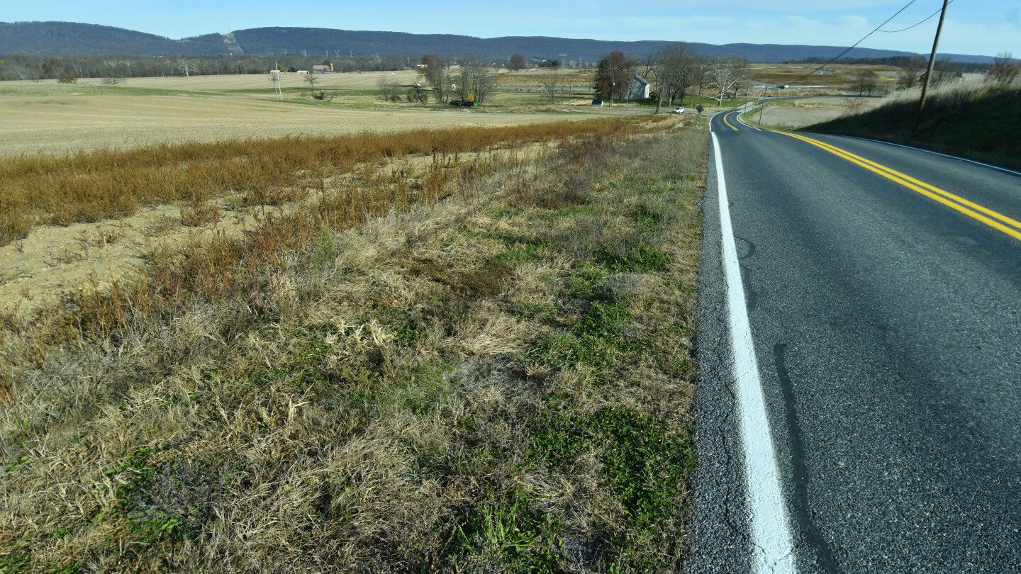 <br />
<b>Warning</b>:  Undefined variable $myimgalt in <b>/www/wwwroot/amtomessage.com/wp-content/themes/ennews001/single.php</b> on line <b>213</b><br />
