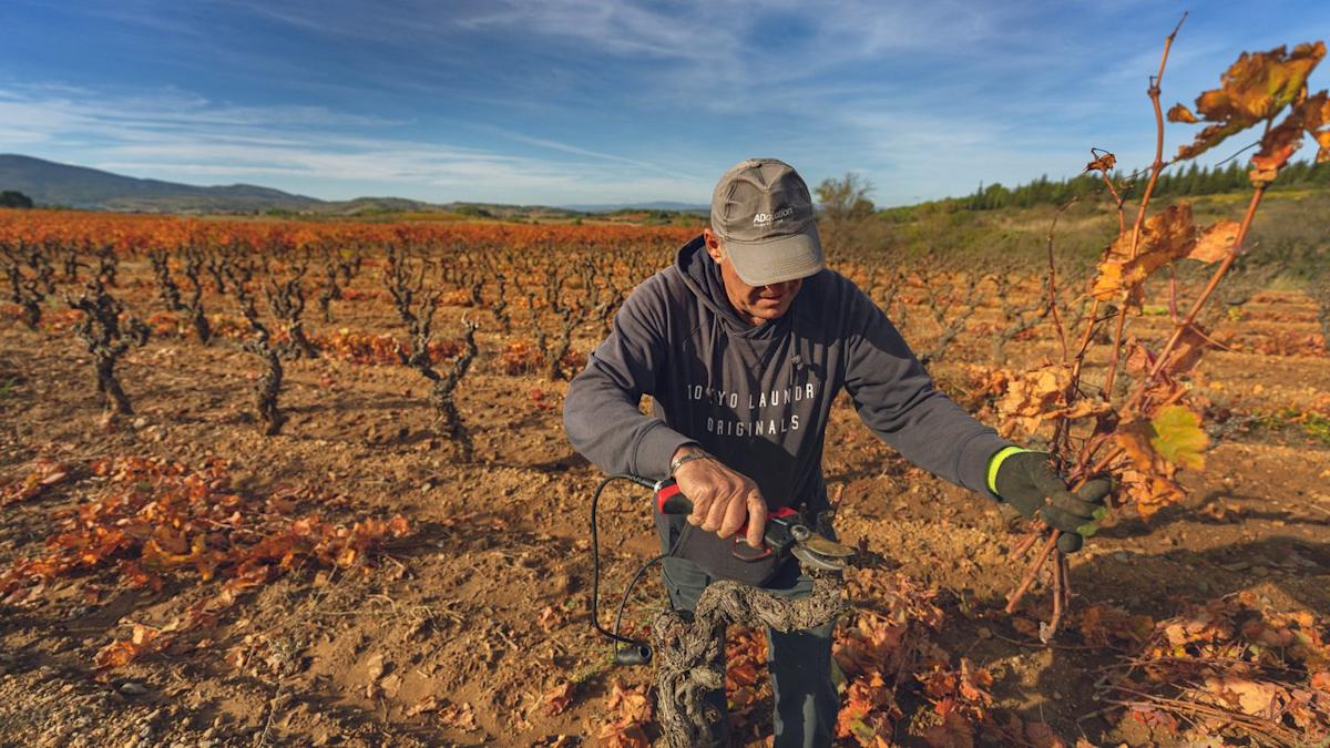 <br />
<b>Warning</b>:  Undefined variable $myimgalt in <b>/www/wwwroot/amtomessage.com/wp-content/themes/ennews001/single.php</b> on line <b>213</b><br />
